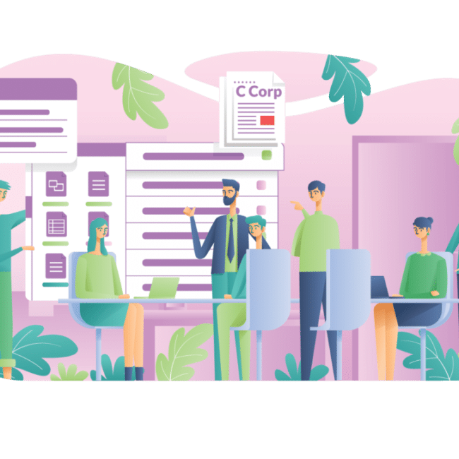 An investor advising founders on the best legal entity for startups.