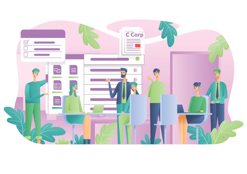 An investor advising founders on the best legal entity for startups.